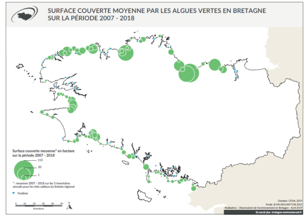 Réunion publique algues vertes vendredi 17 juillet