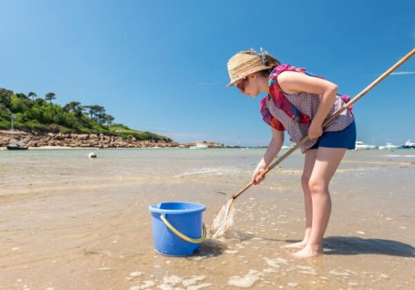 Interdiction de la pêche des coquillages
